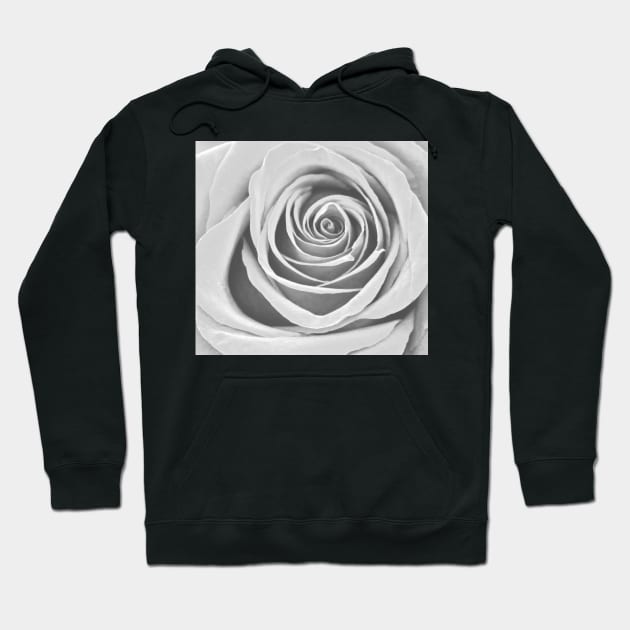 White Rose Flower Detail Macro Hoodie by oknoki